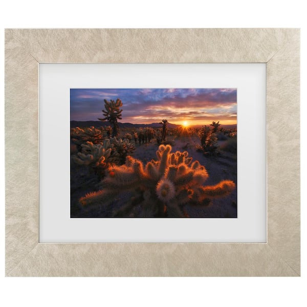 Trademark Fine Art Inigo Cia Cholla Garden Matted Framed Photography Wall Art 19.5 in. x 23.5 in.