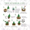bell-nursery-shrubs-hedges-siris3cae1pk-a0.3