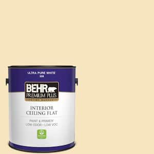 1 gal. #HDC-CT-03 Candlewick Ceiling Flat Interior Paint