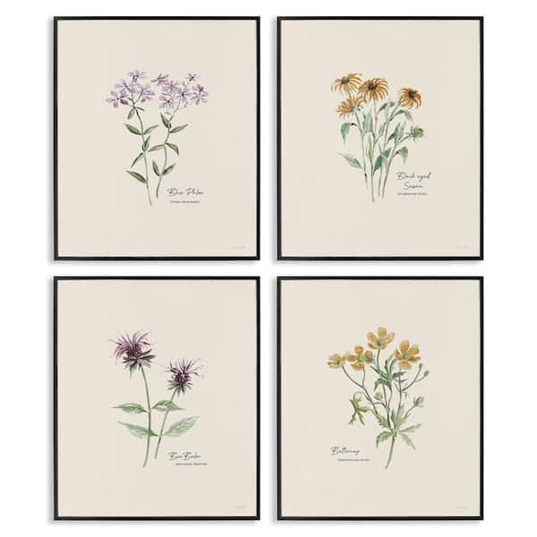 Stupell Industries Simple Wildflower Studies by Cindy Jacobs 4-Pieces Black Framed Nature Giclee Art Print 14 in. x 11 in.