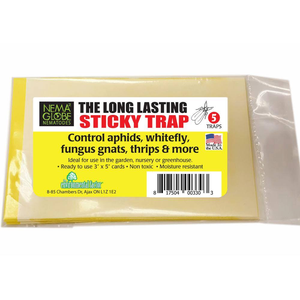 Nema Globe The Long Lasting Sticky Trap 4003302 The Home Depot