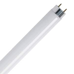 30-Watt 3 ft. T8 G13 Linear Fluorescent Tube Light Bulb, Cool White 4100K (1-Pack)