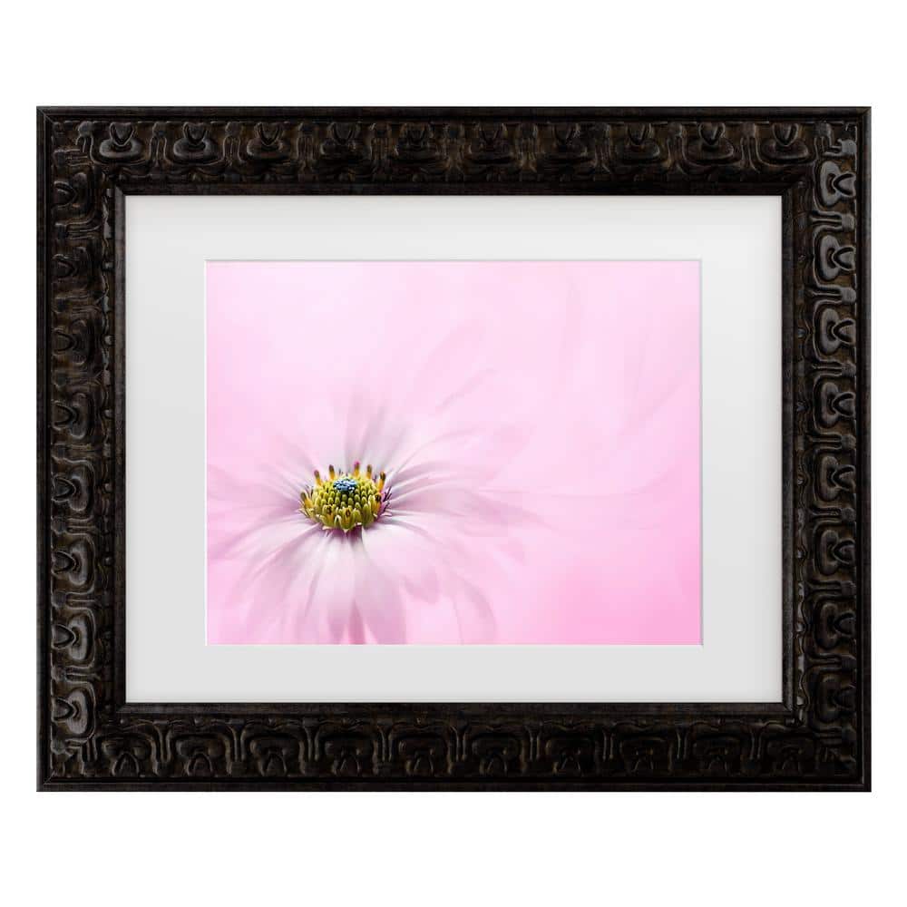 Jacky Parker Softness Matted Framed Photography Wall Art 14.5 in. x 17.5 in. price history on PriceWatchPro
