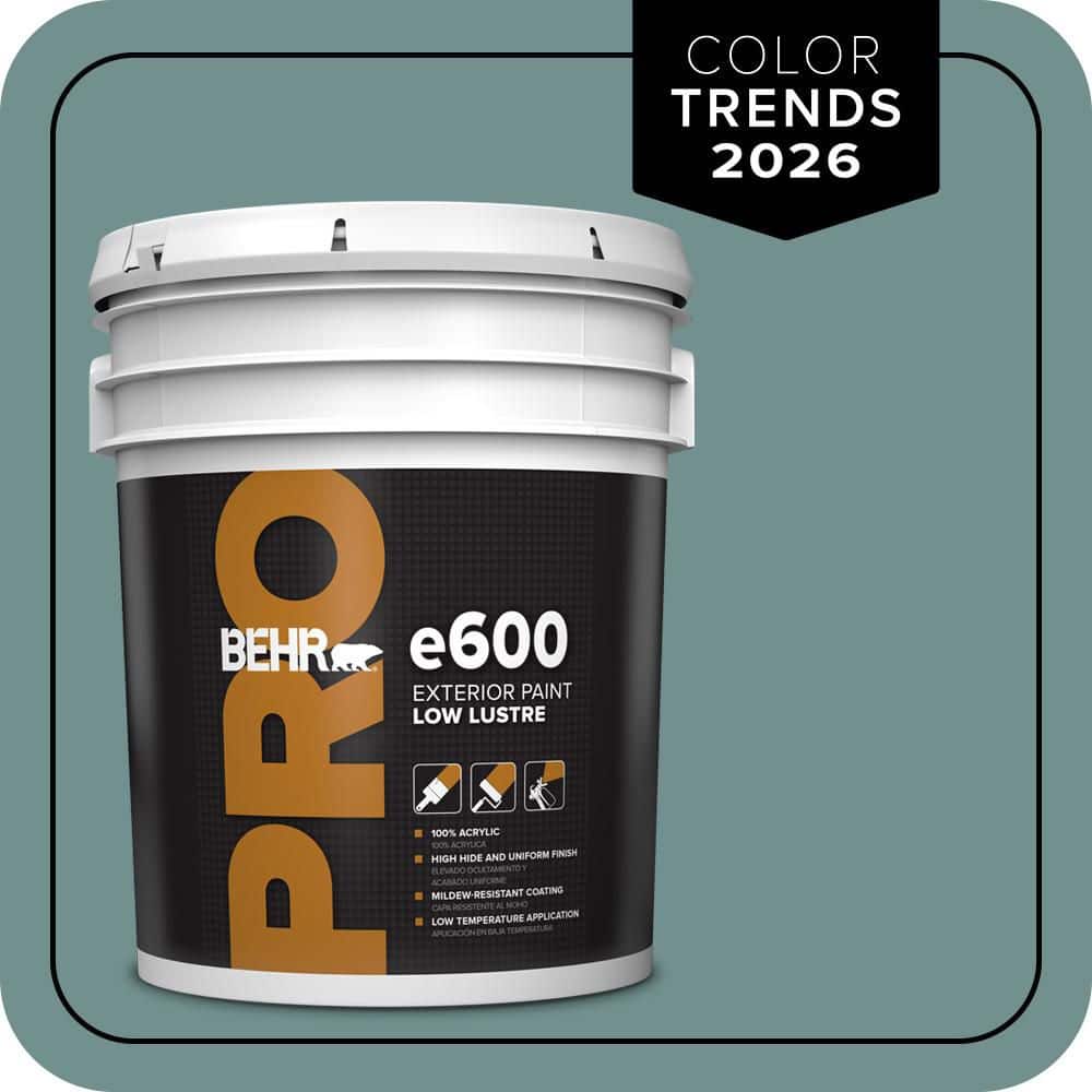 5 gal. #PPU12-03 Dragonfly Low Luster Exterior Paint price history on PriceWatchPro