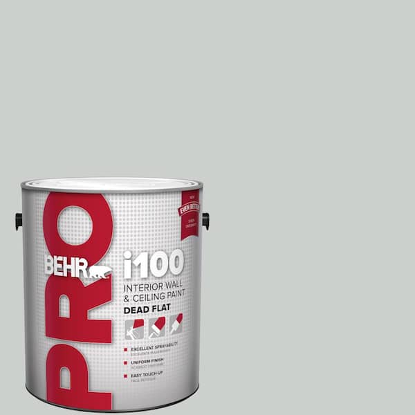 1 gal. #HDC-MD-06G Sparkling Silver Dead Flat Interior Paint