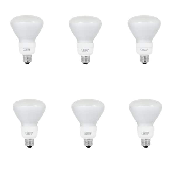 EcoSmart 65-Watt Equivalent Soft White (2700K) BR30 CFL Flood Light Bulb (6-Pack)