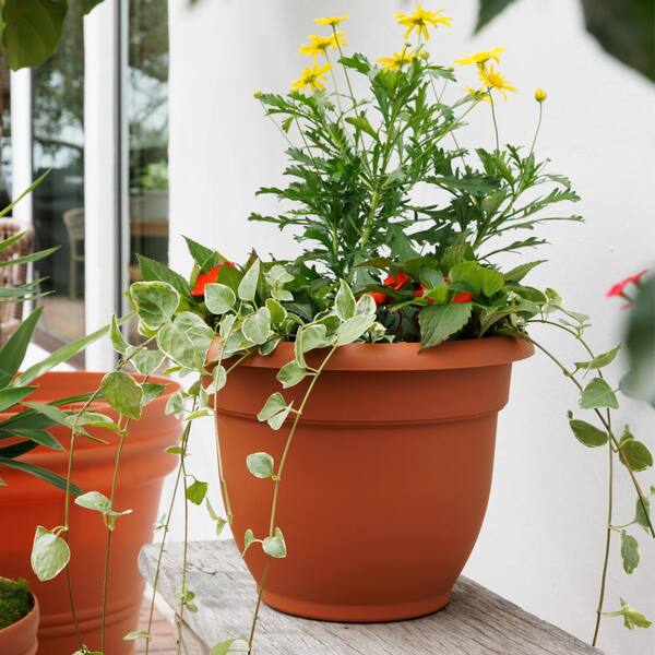 Ariana 21.5 in. Terra Cotta Plastic Self-Watering Planter