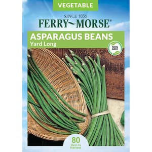 Asparagus Beans Bush Yard Long Seed