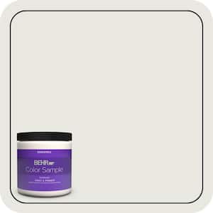8 oz. #BWC-30 Diamonds Therapy Eggshell Enamel Interior Paint & Primer Color Sample