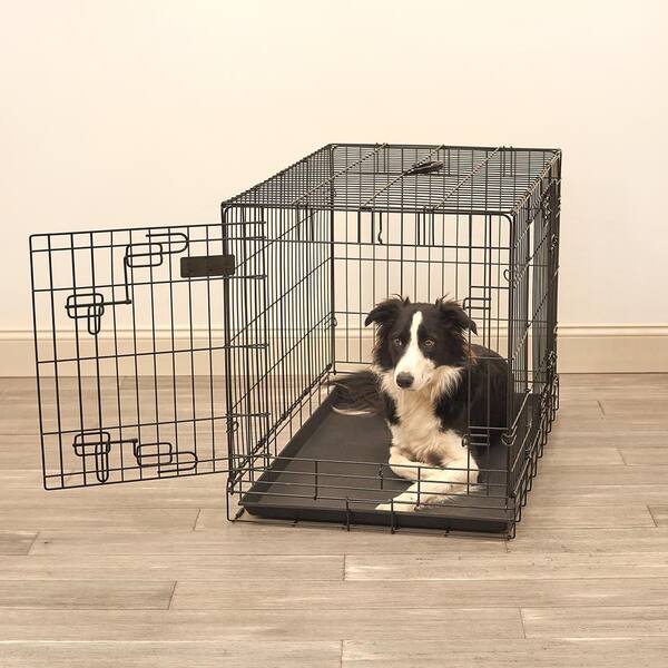 Pet Sentinel 36 in. D x 25 in. H x 22 in. W Large Wire Dog Crate