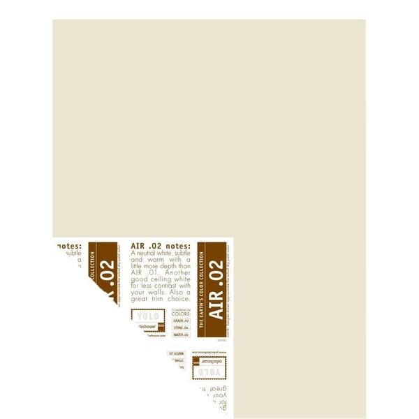 YOLO Colorhouse 12 in. x 16 in. Air .02 Pre-Painted Big Chip Sample