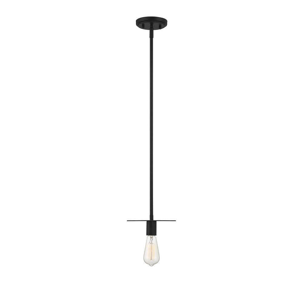 Matte Black Mini Pendant Light with Adjustable Height