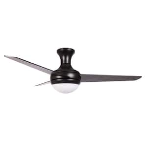 ALEE 48 in. Indoor Black Ceiling Fan with Light Kit and Remote