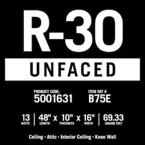 R-30 EcoBatt Unfaced Fiberglass Insulation Batt 10 in. x 16 in. x 48 in. (12-Bags)