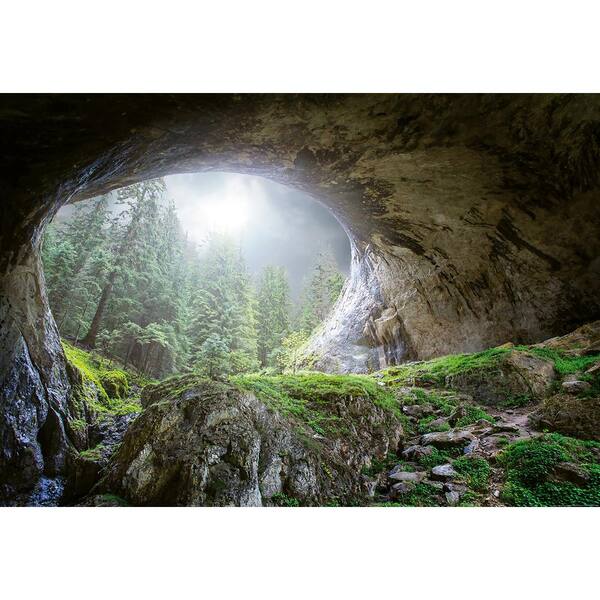 Ideal Decor Cave In The Forest Wall Mural