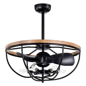 Adeline 26 in. 6-Light Indoor Matte Black Finish Ceiling Fan with Light Kit and Remote