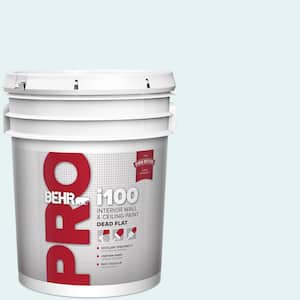 5 gal. #BL-W04 Ethereal White Dead Flat Interior Paint