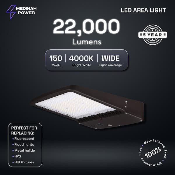 Solar Goes Green 990-Lumen 250-Watt Gray Low Voltage Solar LED Flood Light Motion Sensor