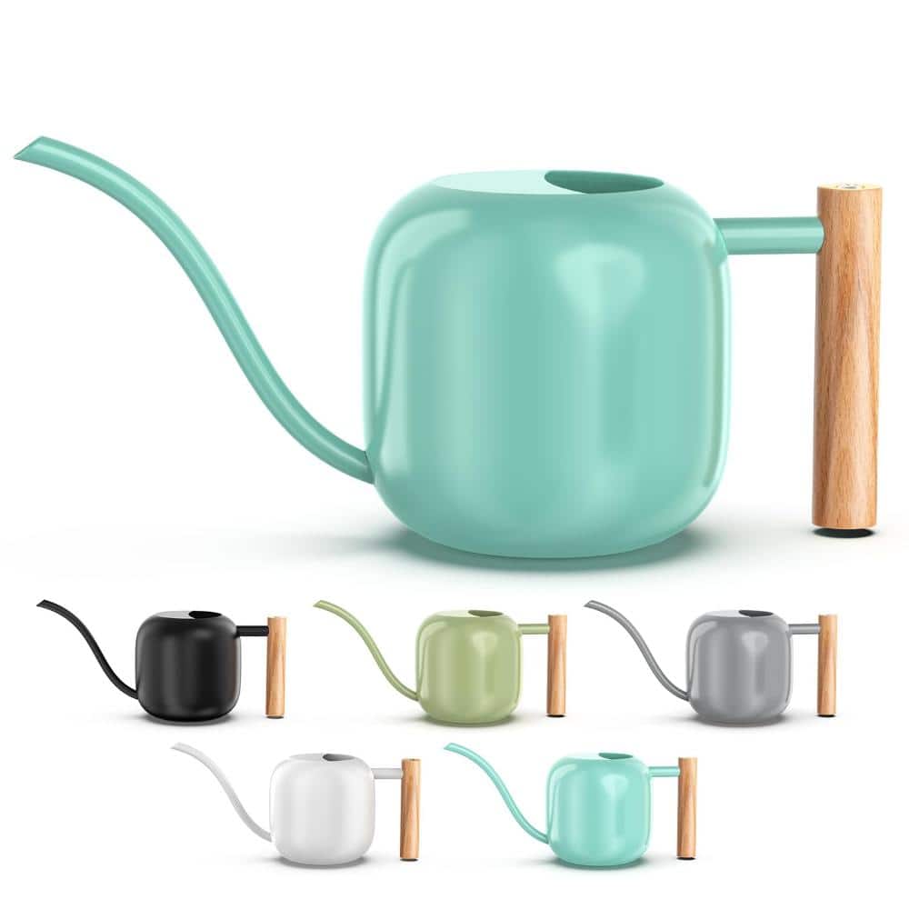 41 oz. Mint Green Stainless Steel Indoor Watering Can with Precision Long Spout and Ergonomic Wooden Handle price history on PriceWatchPro