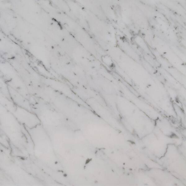 Home Decorators Collection Zen 4 in. x 4 in. Marble Top Sample in Carrara White