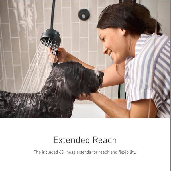MOEN Attract with Magnetix 6-Spray Single Wall Mount 3.75 in 