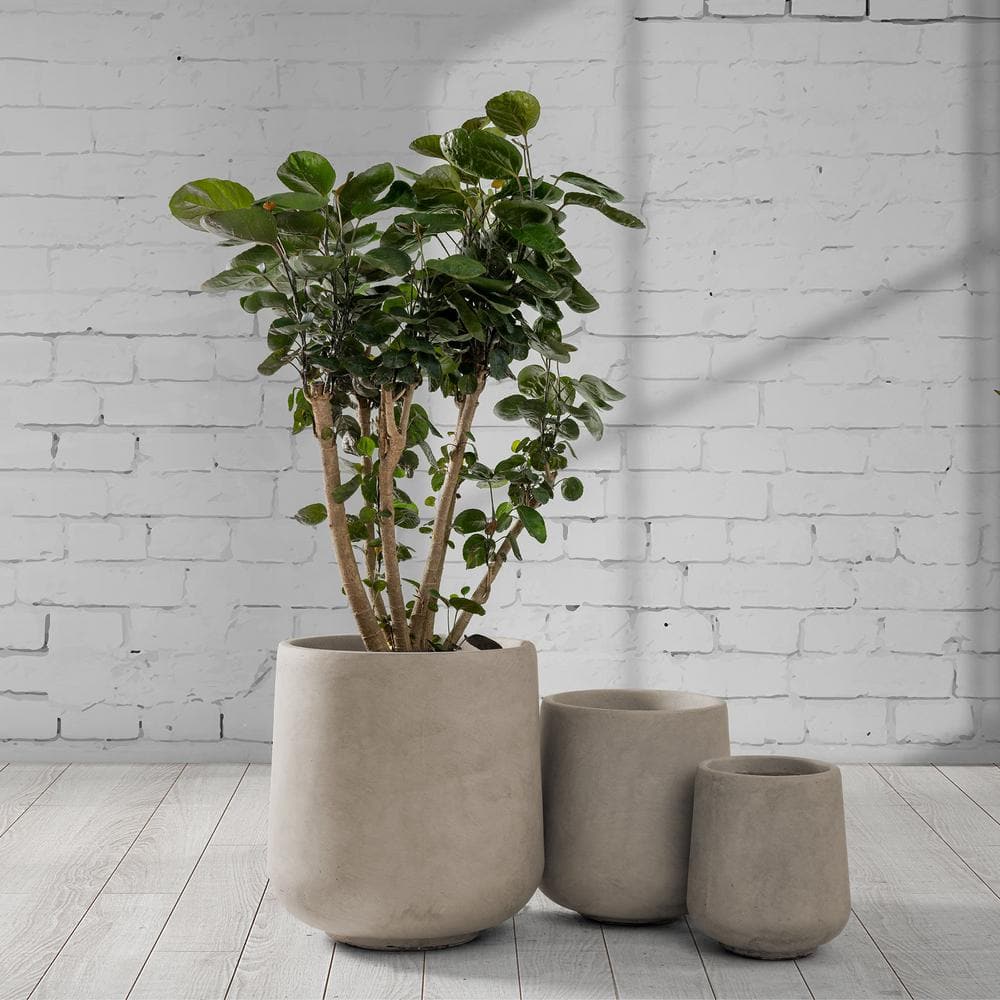 Weathered Concrete Round Planter Set with Drainage Holes