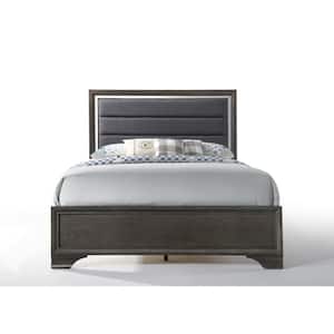 Carine II Charcoal and Gray Queen Bed