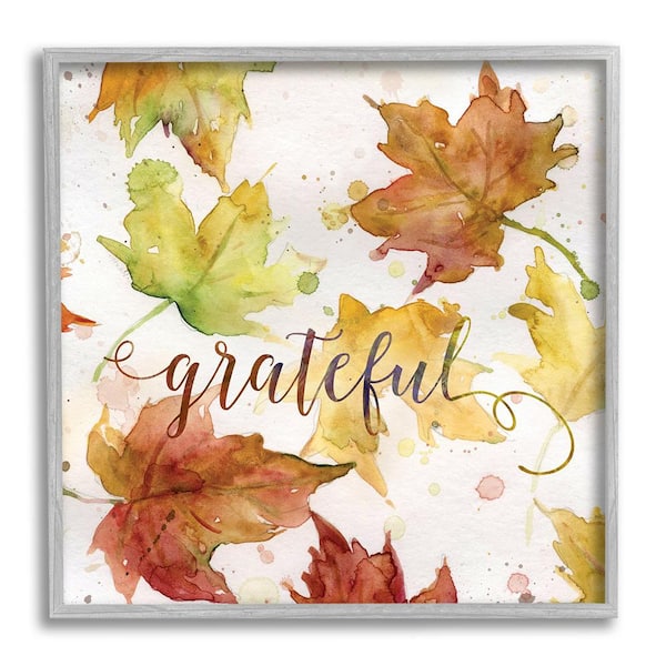 Stupell Industries Grateful Fall Maple Leaves by Carol Robinson 1-Piece Framed Graphic Print Typography Poster Art Print 24 in. x 24 in.