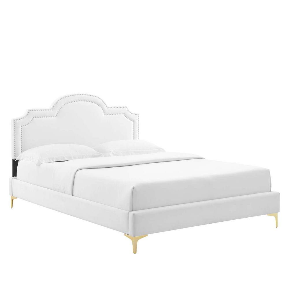 MODWAY Aviana White Performance Velvet Frame King Platform Bed with Gold Metal Legs with Foot