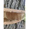 brown-treekote-3003032-31.5