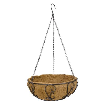 14 in. Painted Steel Filigree Hanging Basket with Coco Liner