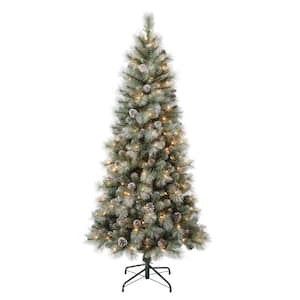 First Traditions 6 ft. Perry Hard Needle Artificial Christmas Tree with Clear Lights