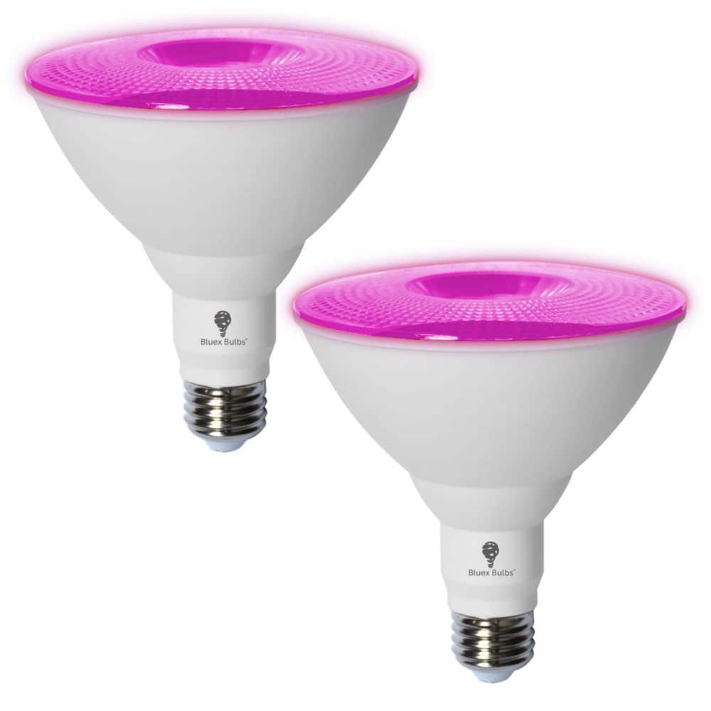BLUEX BULBS 120-Watt Equivalent PAR38 Decorative Indoor/Outdoor LED Light Bulb in Pink (2-Pack) -  PINK-PAR38-18W