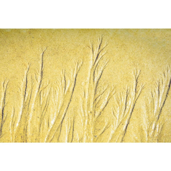 Ebb and Flow Sandscape by Grotto Studios 1 Piece Unframed Graphic Print Abstract Poster Art Print 30 in. x 40 in.