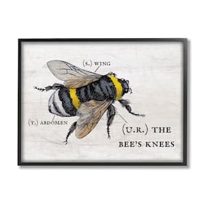 "Anatomy of Honey Bee Pun Charming Bee's Knees" by Daphne Polselli Framed Animal Wall Art Print 11 in. x 14 in.
