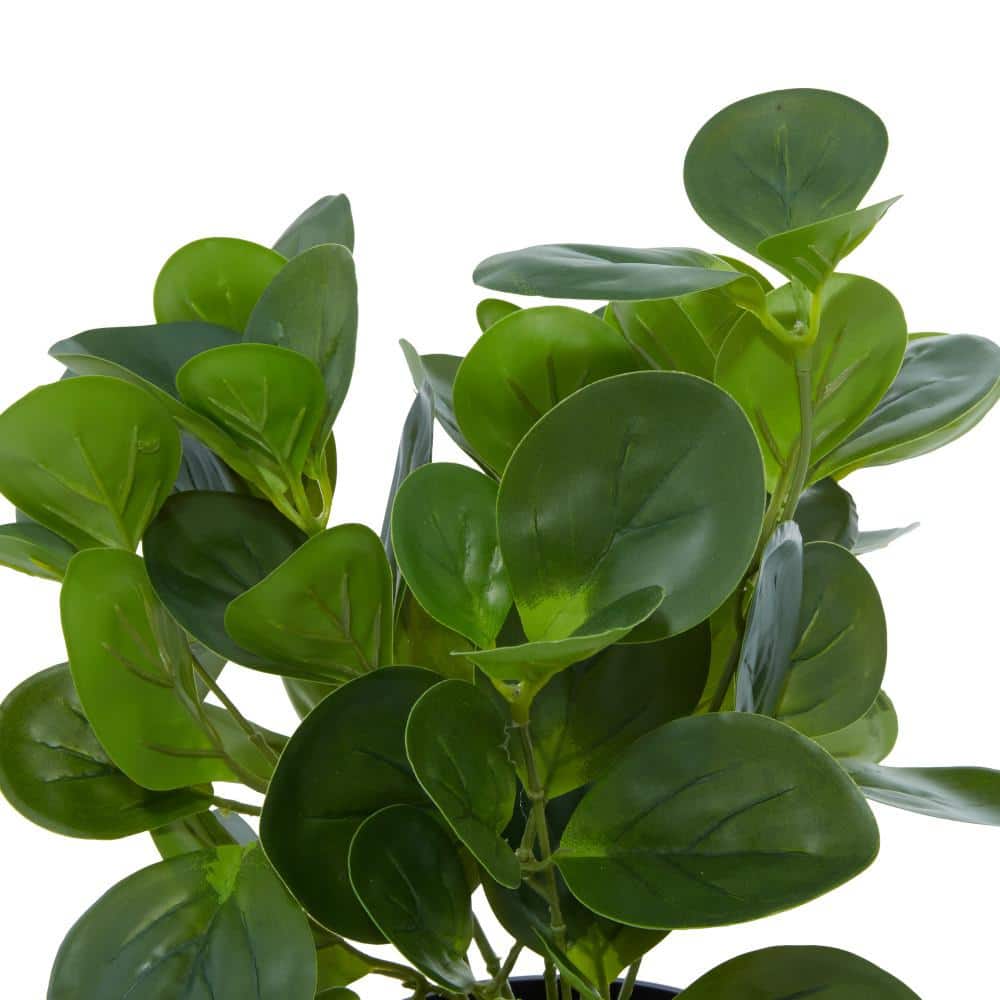 13" Green Artificial Eucalyptus Plant in Black Pot