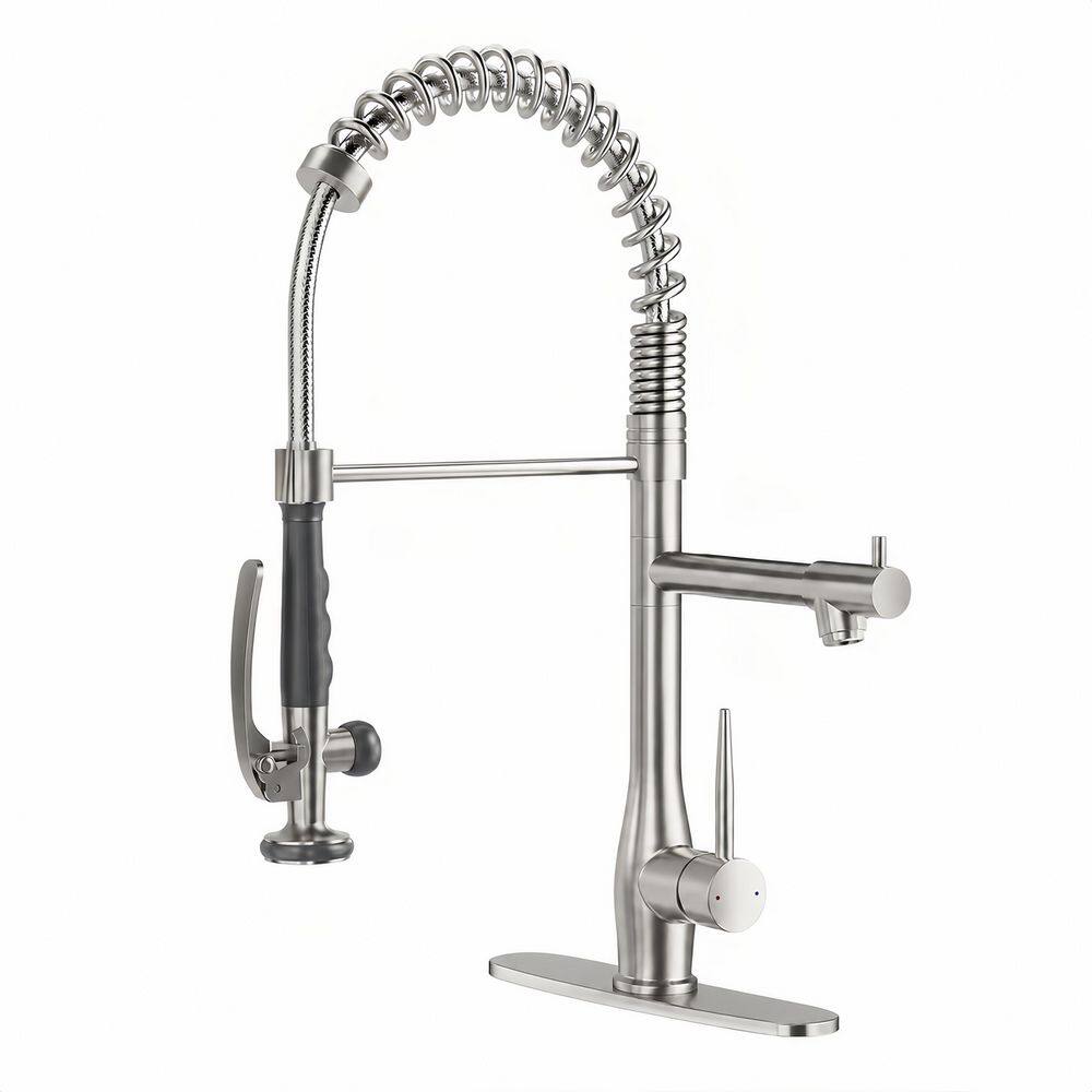 Single Handle Pull Down Sprayer Kitchen Faucet with Pull Down Spray Wand in Brushed Nickel price history on PriceWatchPro