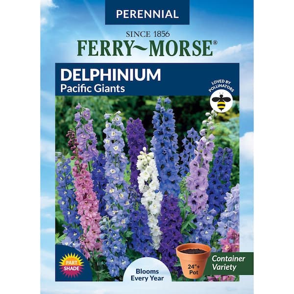 Delphinium Pacific Giants Flower Seeds