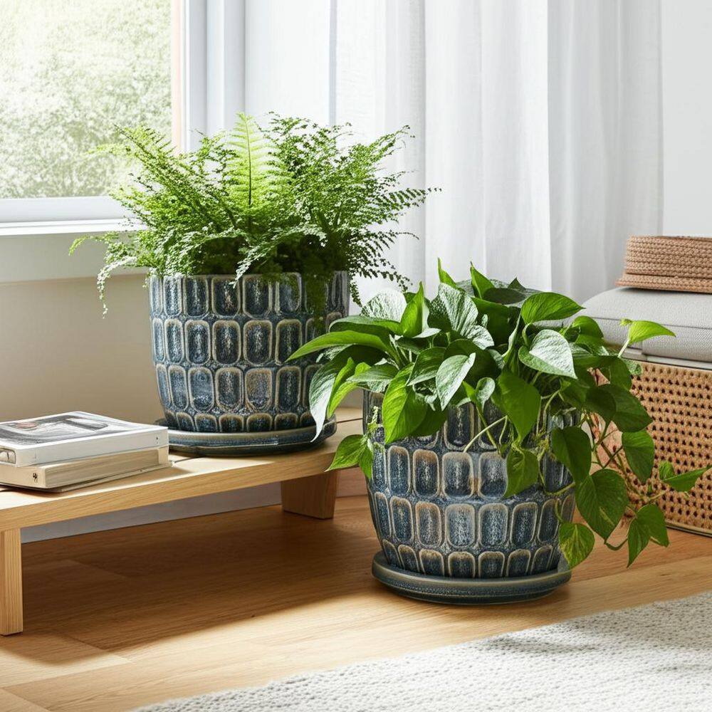 Best HD Pictures about  Home Depot Ceramic Pots  with No AI Images