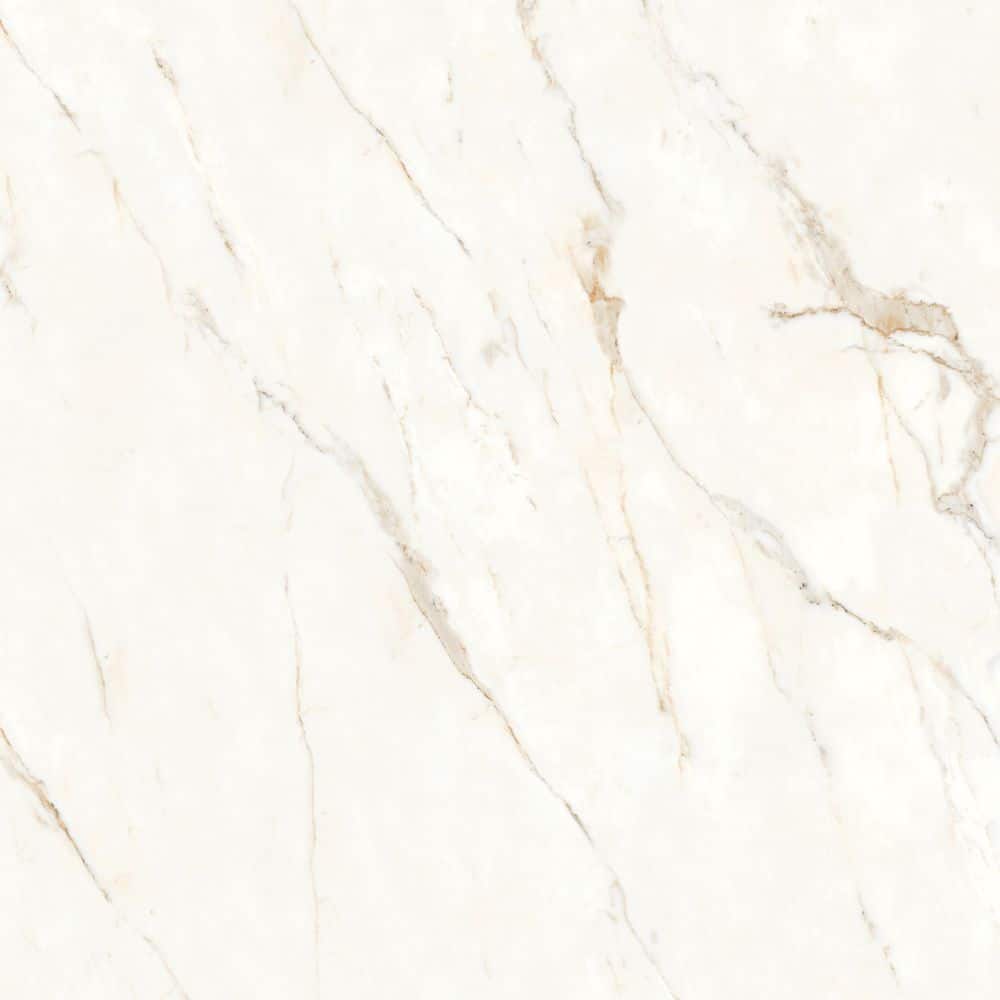 Tile Samples - Magnifica 1948 48 in. x 48 in. Calacatta Oro Porcelain Floor Tile Sample (31.2 sq. ft. /Case) price history on PriceWatchPro