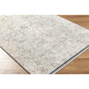 Rivaldo Gray/Multi-color Abstract 2 ft. x 3 ft. Indoor Area Rug