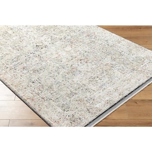 Rivaldo Gray/Multi-color Abstract 5 ft. x 7 ft. Indoor Area Rug