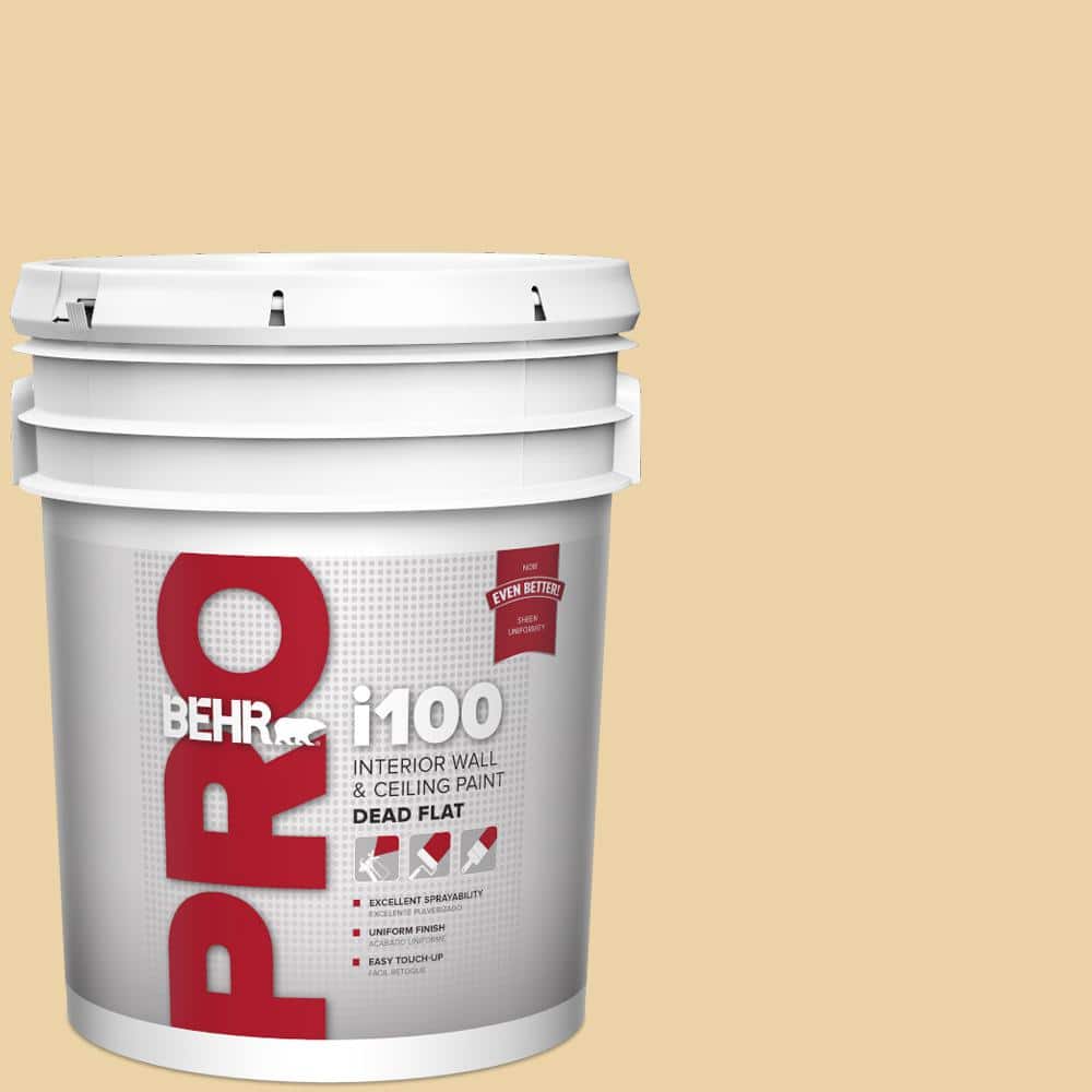 5 gal. #350F-4 Quiet Veranda Dead Flat Interior Paint price history on PriceWatchPro