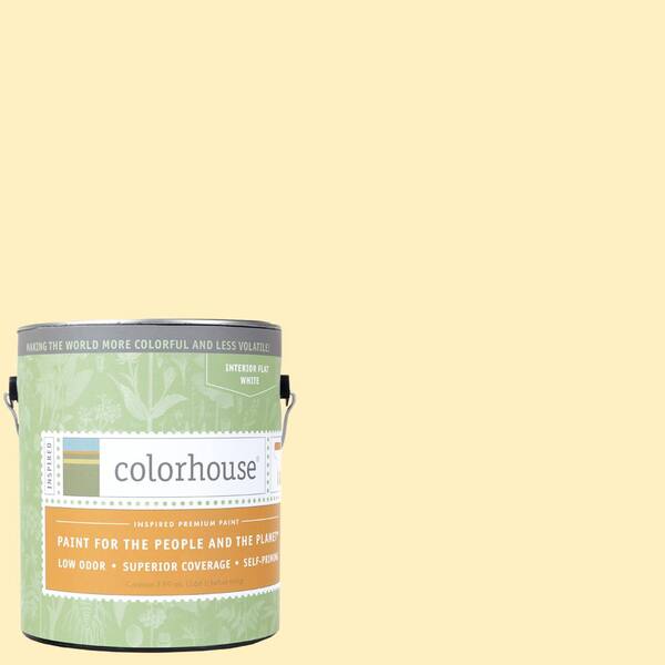Colorhouse 1 gal. Grain .01 Flat Interior Paint