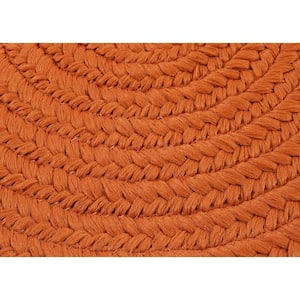 Trends Tangerine 2 ft. x 3 ft. Oval Braided Area Rug
