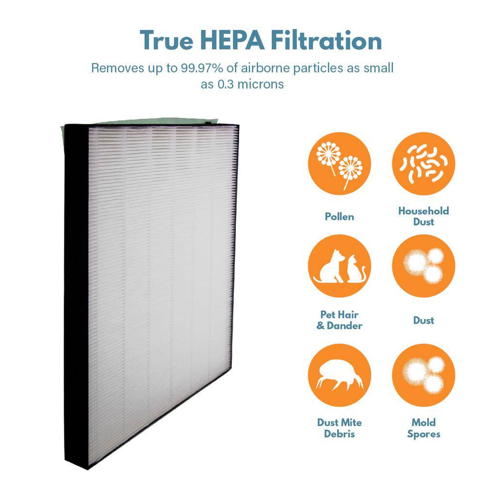 True HEPA White Air Purifier Filter for Bissell 2521