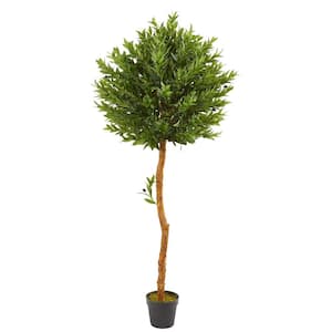 5.5 ft. Indoor/Outdoor Olive Topiary Artificial Tree