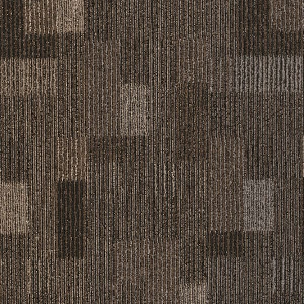 8 in. x 8 in. Textured Loop Carpet Sample - Basics -Color - Coffee