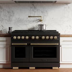 Paramount 48 in. 8-Burner Double Convection Oven Dual Fuel Range in Black Stainless Steel and Champagne Bronze