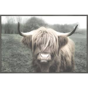 "Shaggy Cattle Hair" by Marmont Hill Floater Framed Canvas Animal Art Print 20 in. x 30 in.